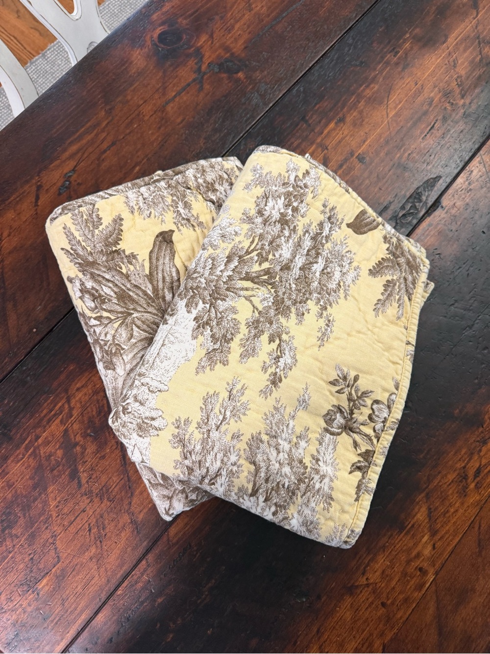 Pottery Barn Yellow and Brown Toile Pillow Shams (Pair)